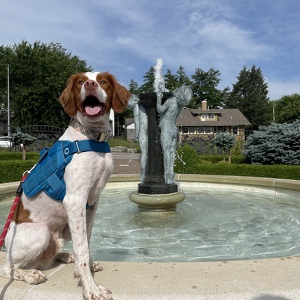 Fundraising Page: Miranda Myers